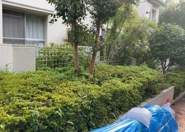 中庭（パティオ）とは、一つの建築物の内部に設けられた、壁などで囲われている庭のことを指します。コの字型、ロの字型が主流ですが、L字型の中庭もあります。最近では、インテリア性の高さからも人気があります。