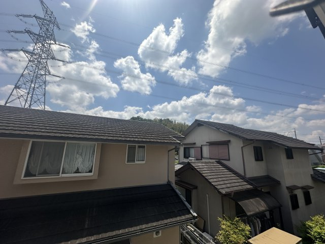 展望
