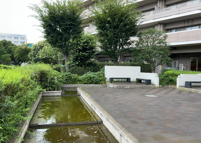 中庭（パティオ）とは、一つの建築物の内部に設けられた、壁などで囲われている庭のことを指します。コの字型、ロの字型が主流ですが、L字型の中庭もあります。最近では、インテリア性の高さからも人気があります。