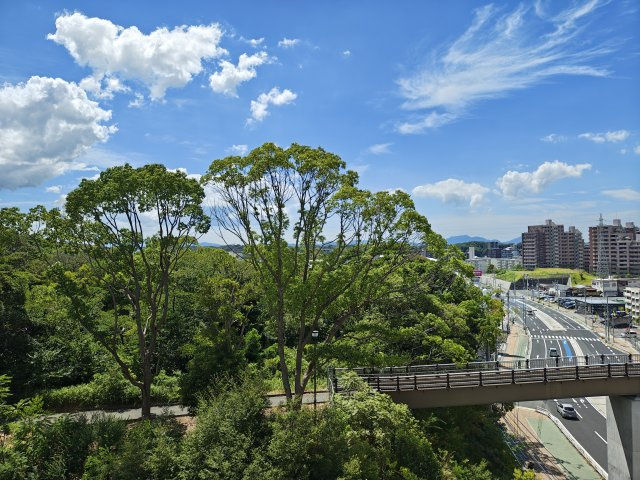 展望