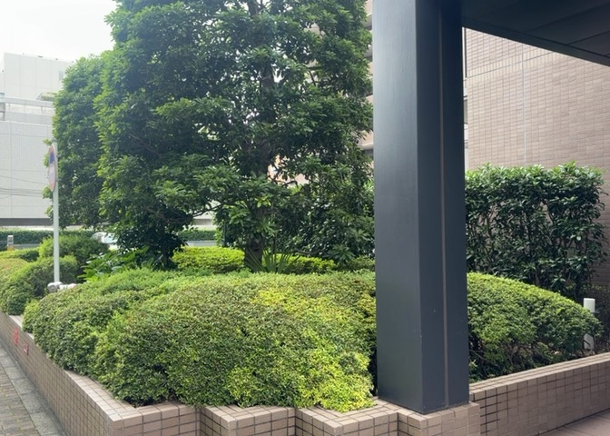 物件によっては、入居者が個人的に使用できる専用庭がついているものもあります。また、住宅の中にある土間の部分を庭と呼ぶこともあります。庭の用途は住む人によって変わり、それによってデザインもさまざまです。