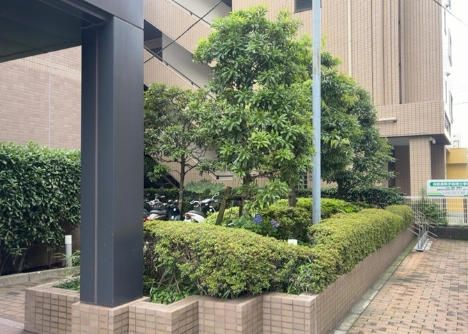 中庭（パティオ）とは、一つの建築物の内部に設けられた、壁などで囲われている庭のことを指します。コの字型、ロの字型が主流ですが、L字型の中庭もあります。最近では、インテリア性の高さからも人気があります。