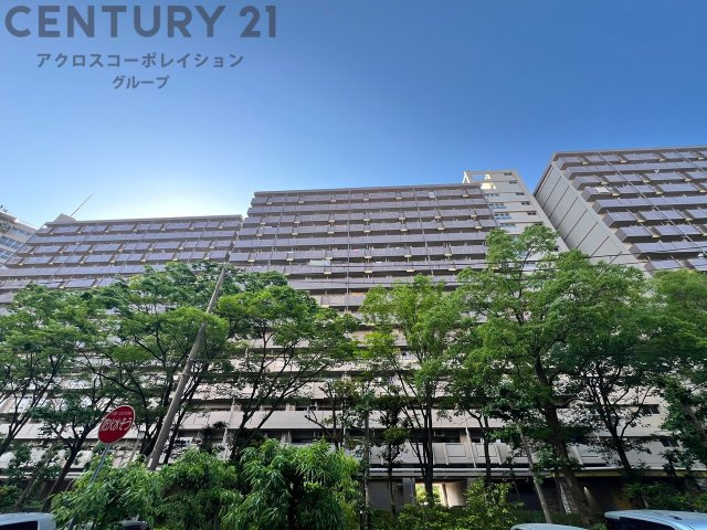 現況写真