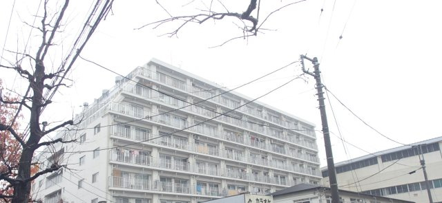 外観：312001196835