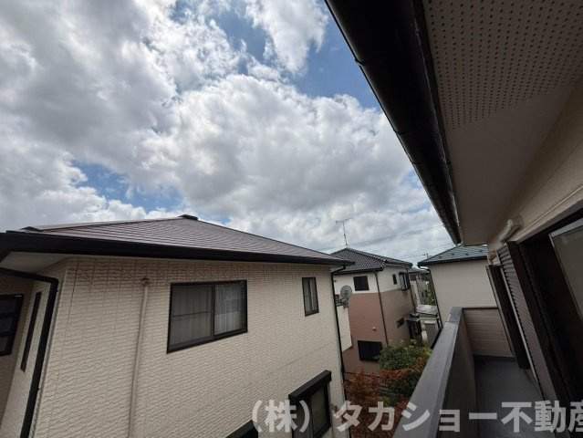展望