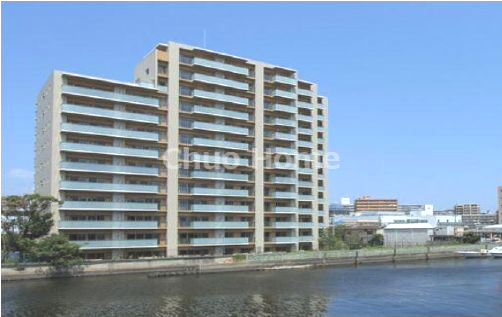 外観：313004713839