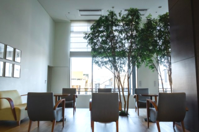 【ガーデンカフェ】気軽なお喋りやお茶の際はせびこちらへ。緑豊かな樹木を配し、変化に富んだ空間です！