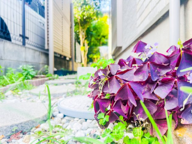 【garden】　◆ガーデニングを楽しむ◆草木に囲まれる趣味の空間。。お花や家庭菜園にお子様や奥様の笑い声が、楽しそうなその声に癒しを住んでよかったがそこにあります。