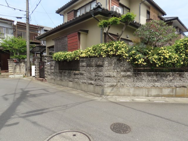 展望