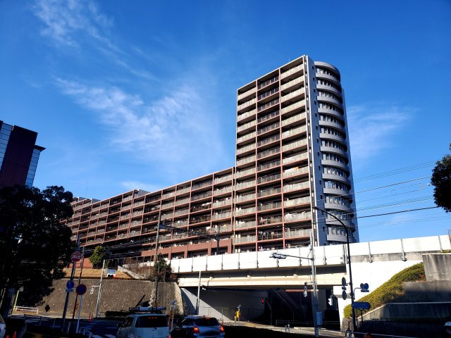 外観：313004677354