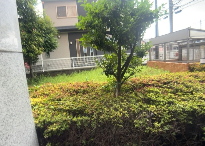 中庭（パティオ）とは、一つの建築物の内部に設けられた、壁などで囲われている庭のことを指します。コの字型、ロの字型が主流ですが、L字型の中庭もあります。最近では、インテリア性の高さからも人気があります。