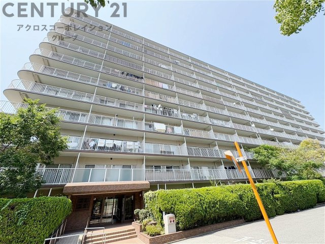 鉄筋コンクリート造11階建て