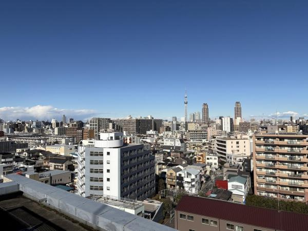 スカイツリーを望む、都心のパノラマビュー