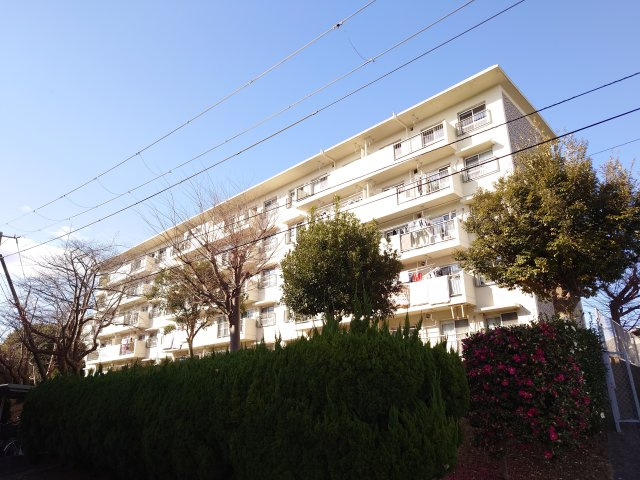 外観：314002681116