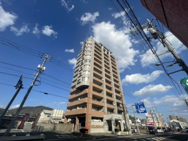 外観：334000250224