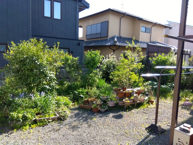 南向きの広いお庭があります。家庭菜園やガーデニングが楽しめます。