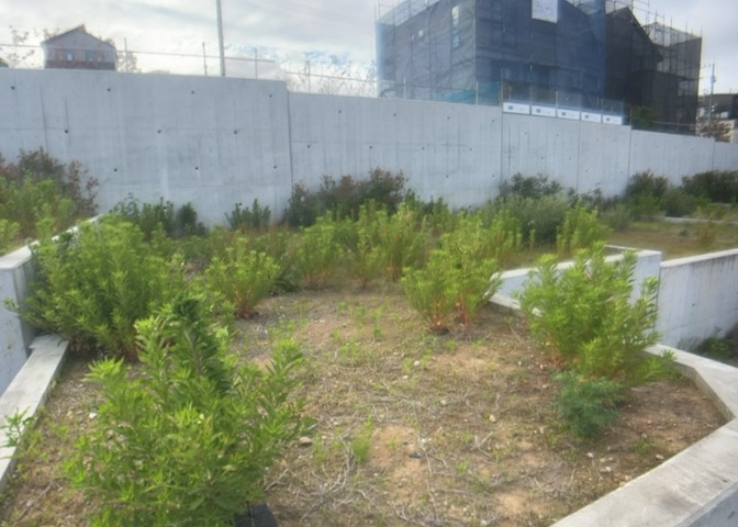 土地の形が極端に長細かったり、狭小地、あるいは道路との高低差がある傾斜地だった場合、後々売ろうとしても買い手がつかない場合もあります。後々、売却することになった時に価値の下がらない土地を選びましょう。