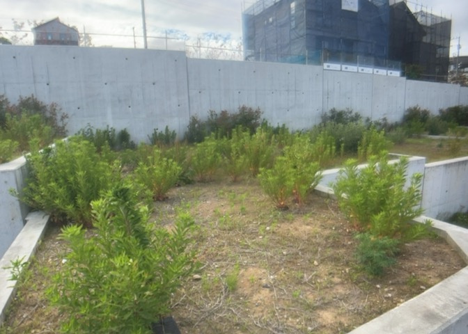 土地探しをしていると都市計画区域という言葉を目にすると思います。法律によって、都道府県知事や国土交通大臣が指定するエリアのことを指しており、都市計画区域は市街化区域と市街化調整区域に分けられています。