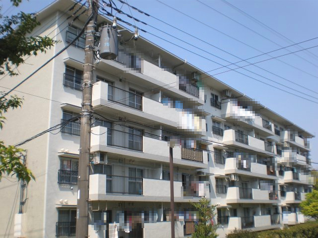 外観：313004290459