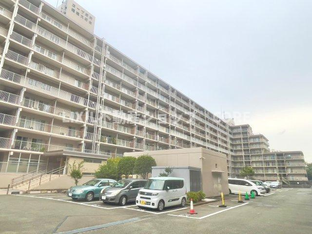 外観：314002728181