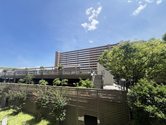 展望