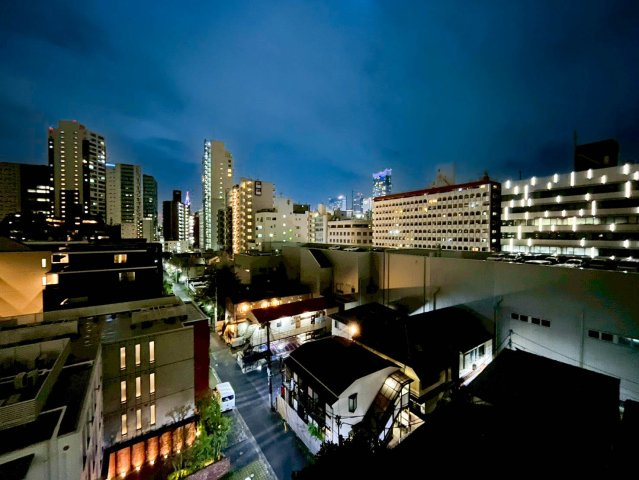 本物件南側眺望（夜間）。きれいな夜景を一望でき、遠くまで見渡すことができます。