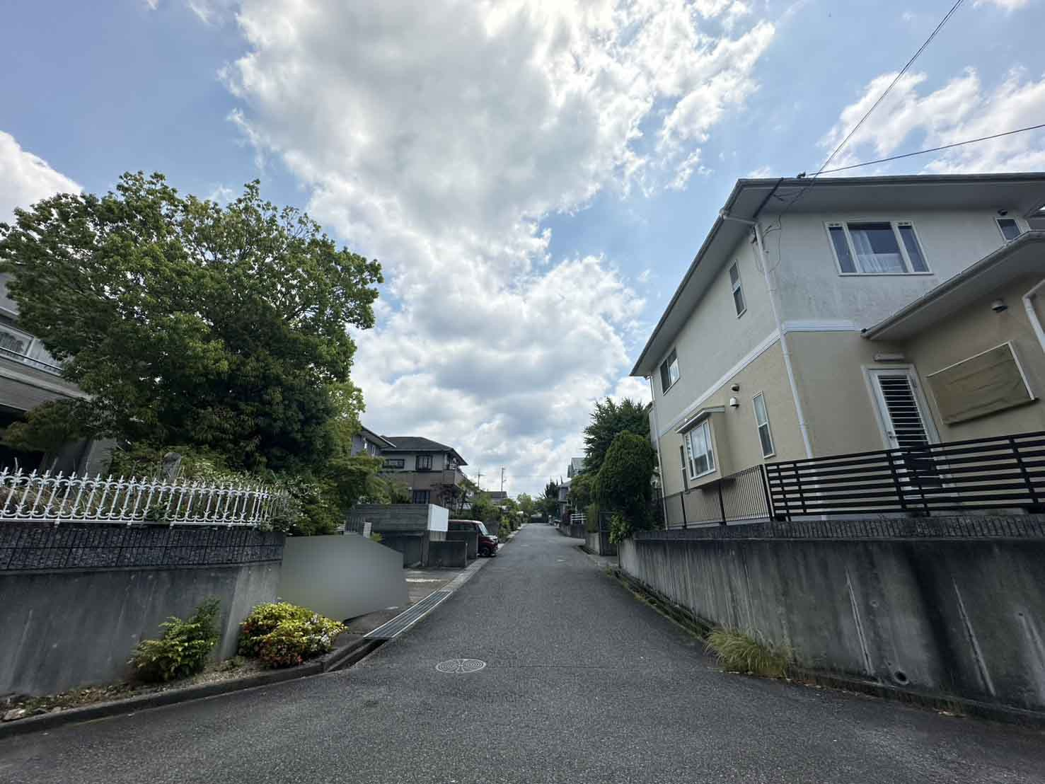前面道路含む現地写真