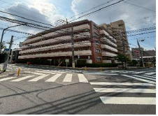 外観：311002306175