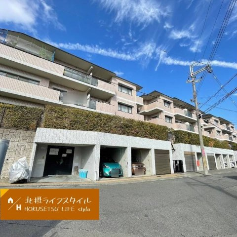 外観：327002234377