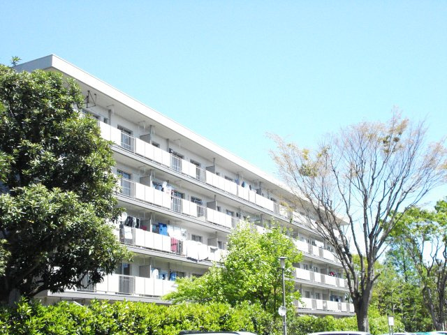 外観：312001288126