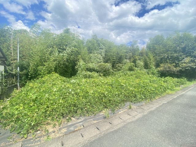 外観：343000087339