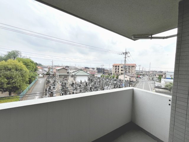 展望