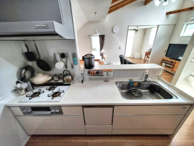 タカラスタンダード：サッとふくだけお手入れ楽々ホーローキッチンパネル、食器洗い乾燥機付きです。