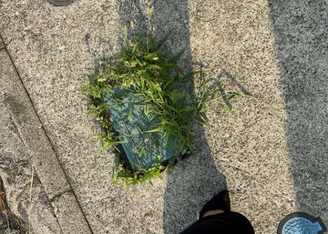 敷地内に散水栓や立水栓があると便利です。水道水を直接利用できるため、水を運ぶ手間を省くことが出来ます。大量の水を必要とする洗車作業や清掃などに役立ちます。その他設備とあわせて、現地でご確認ください。