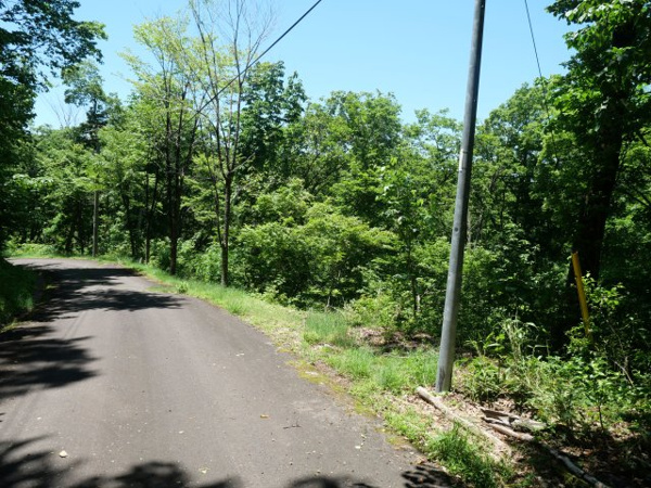 【荘川ビレッジ⑥の前面道路含む現地写真】