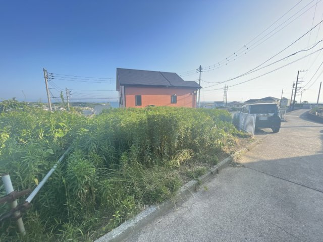 外観：314002784535
