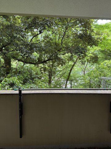 バルコニーの目の前には箱根らしい豊かな緑。季節の移ろいを身近に愉しめる住環境です。