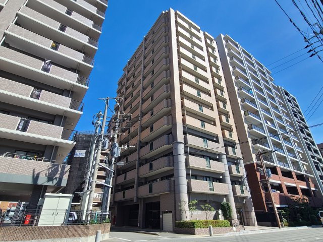 外観：340000273915