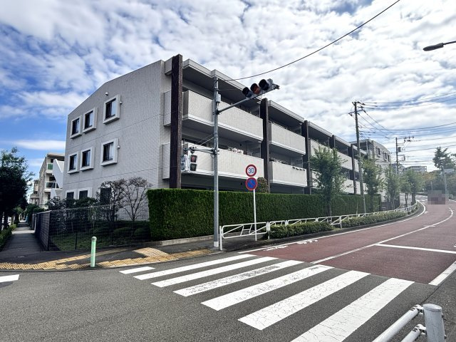 外観：313004933620