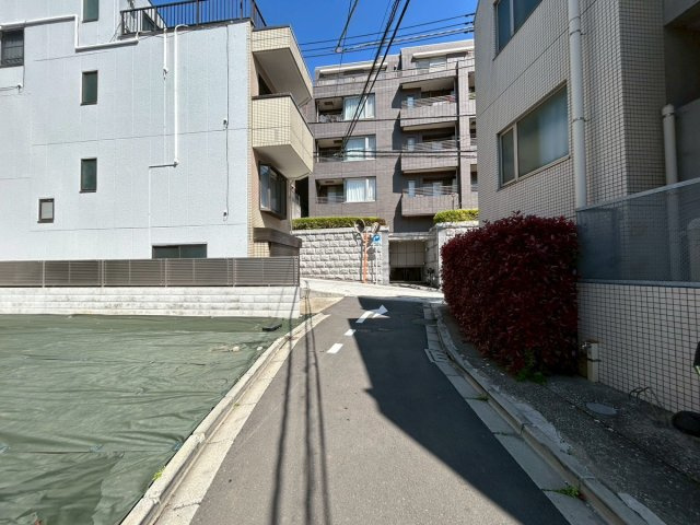 2026年4月3日撮影
