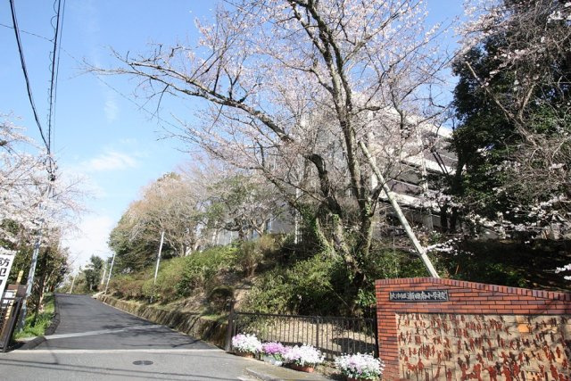 瀬田南小学校