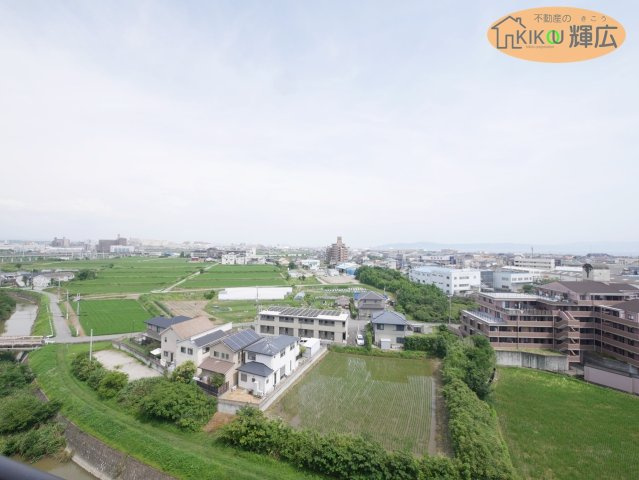展望