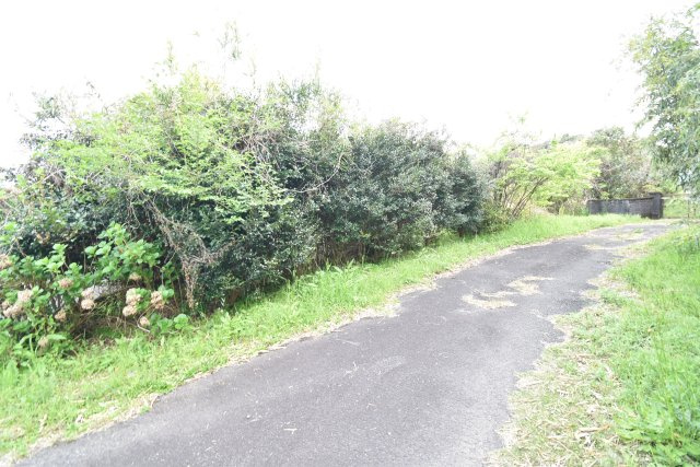 外観：346000041416