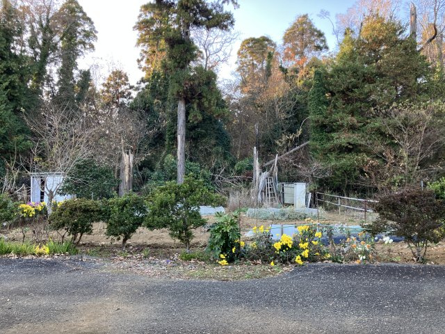 現況は畑として利用。高低差の少ない平坦な地勢の山林です