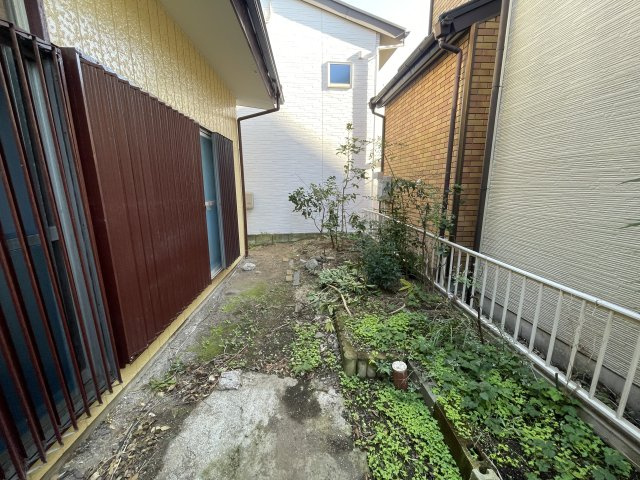 庭