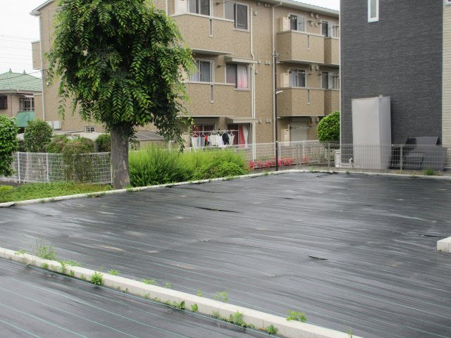 現地写真