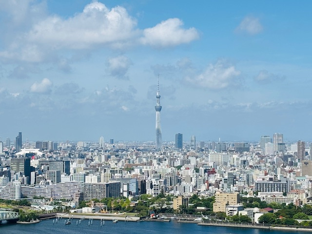 スカイツリーにズームした写真です。　肉眼ではしっかりと見えます。