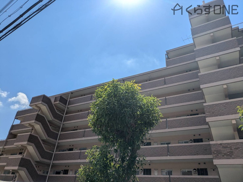 外観：328000549073