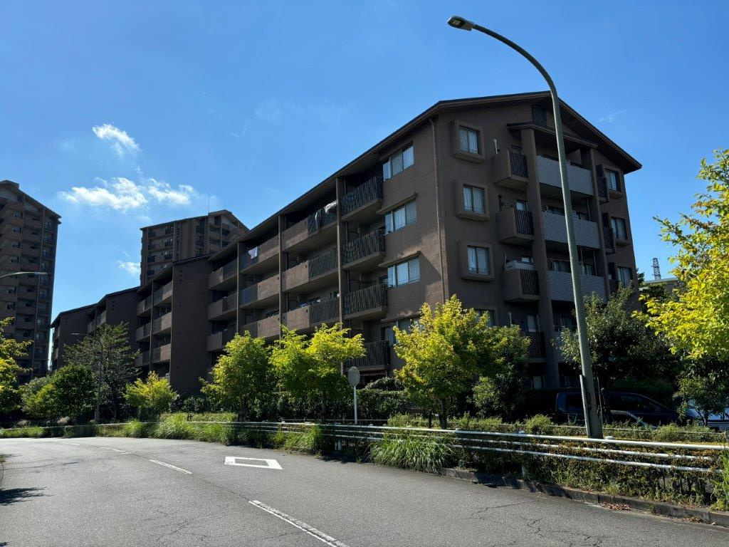 外観：313004546082