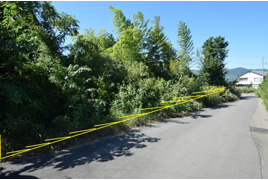 玖須美元和田 広大地の外観